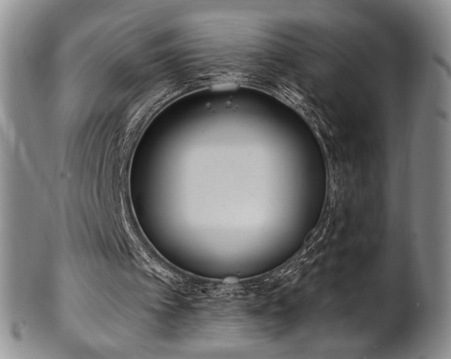 X0000101700097200807101546