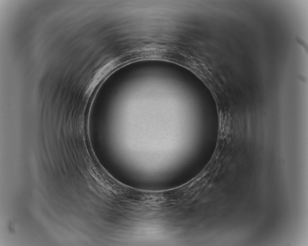 X0000101700099200807101546