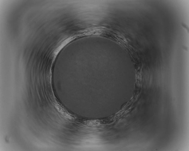 X0000101700100200807101546