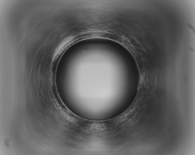 X0000101700101200807101546