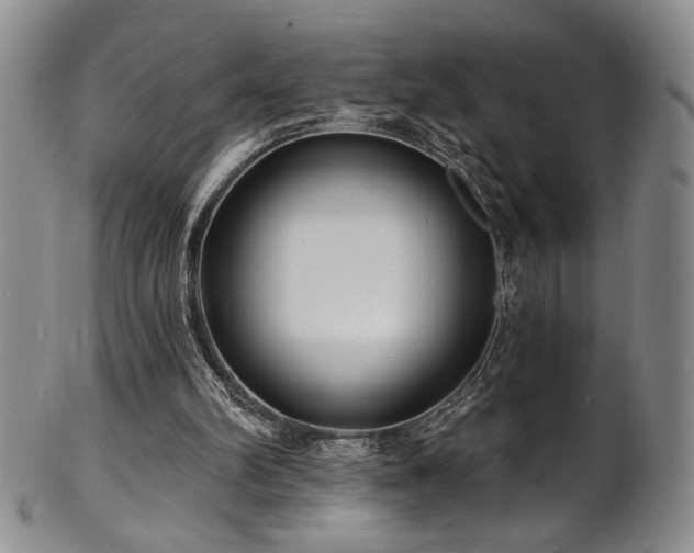 X0000101700102200807101546