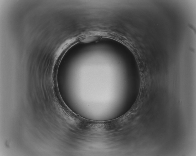 X0000101700104200807101546