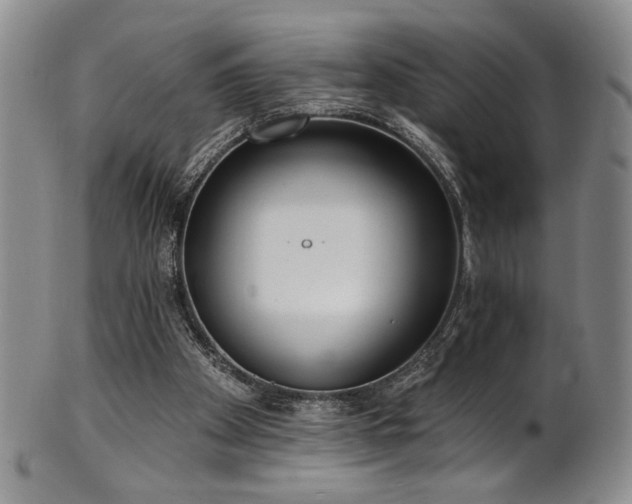 X0000101700105200807101546