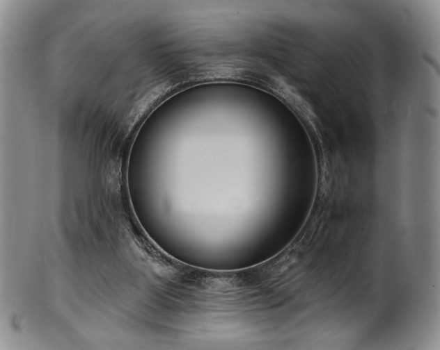 X0000101700107200807101546