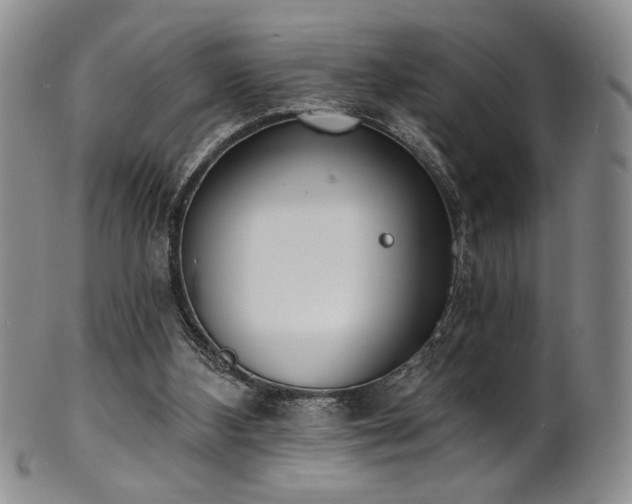 X0000101700108200807101546