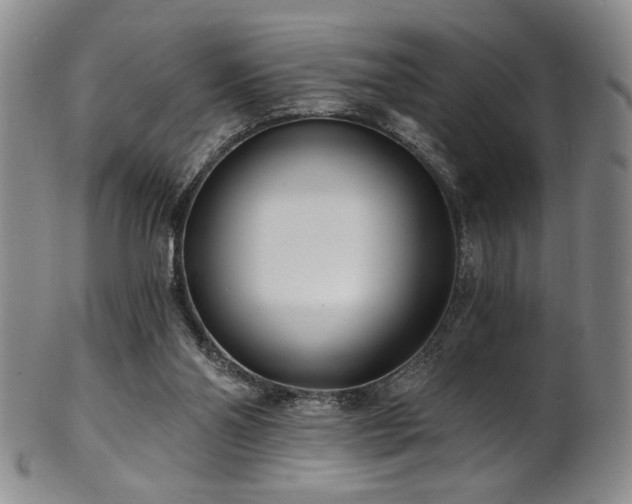 X0000101700110200807101546