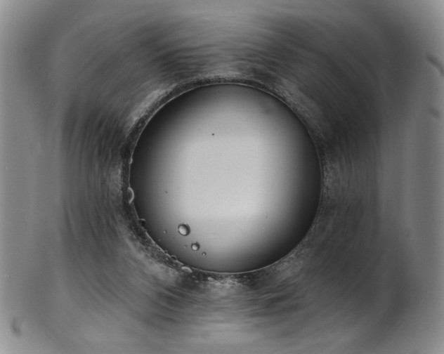 X0000101700112200807101546