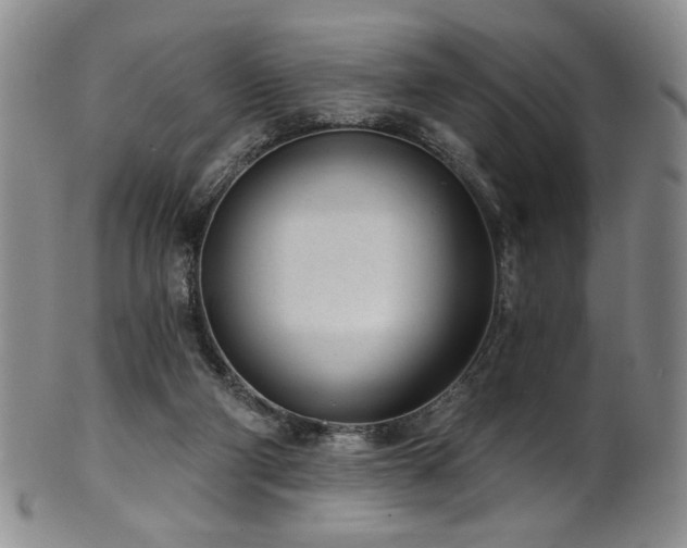 X0000101700114200807101546