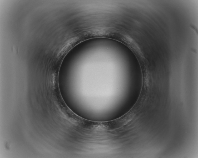 X0000101700115200807101546
