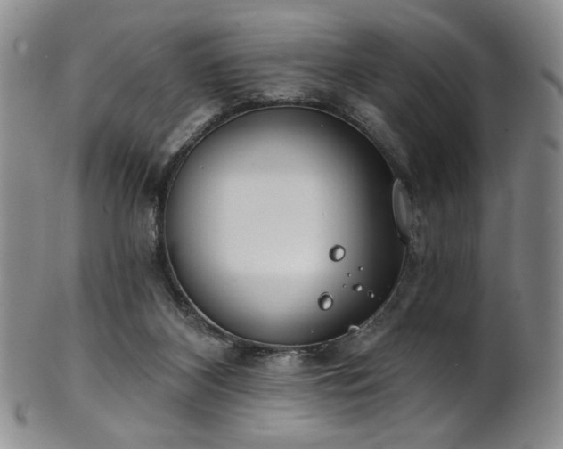 X0000101700116200807101546