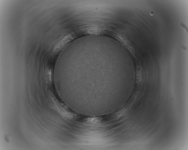 X0000101700117200807101546