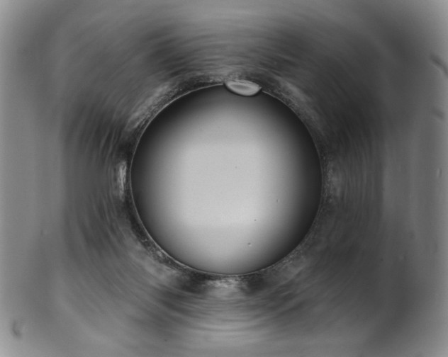 X0000101700118200807101546