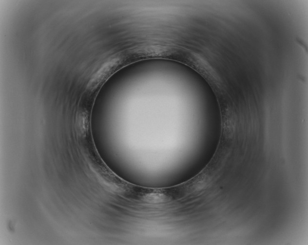 X0000101700119200807101546