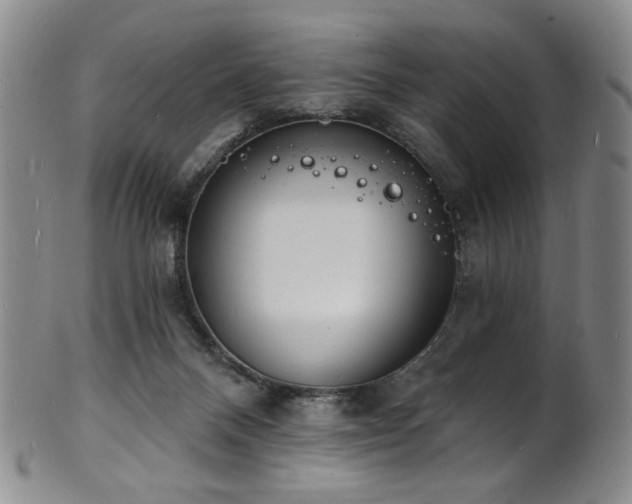 X0000101700120200807101546