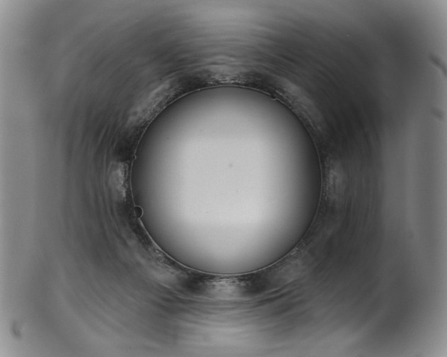 X0000101700121200807101546