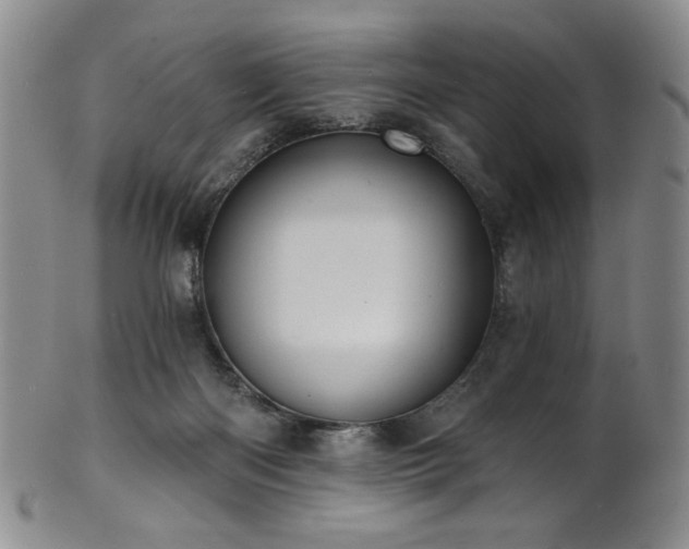 X0000101700122200807101546