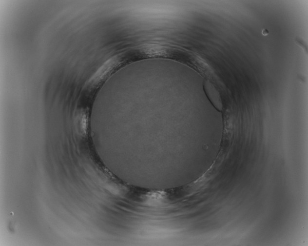 X0000101700124200807101546
