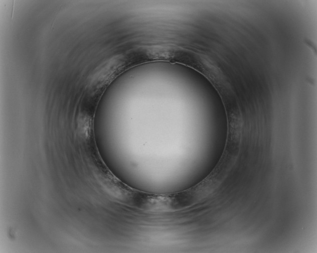 X0000101700125200807101546