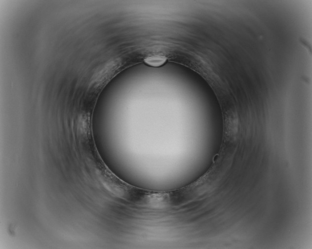 X0000101700126200807101546