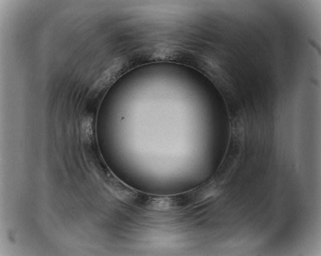 X0000101700127200807101546