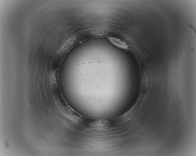 X0000101700128200807101546