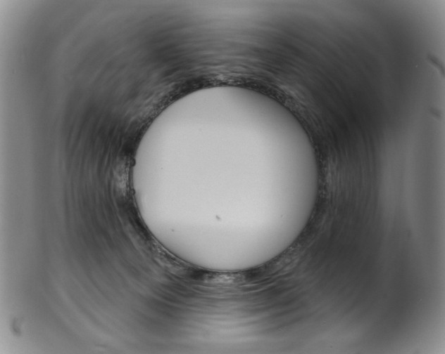 X0000101700129200807101546