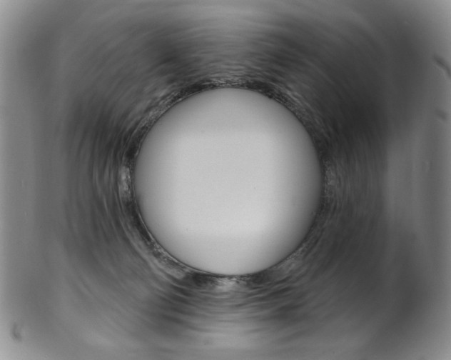 X0000101700130200807101546