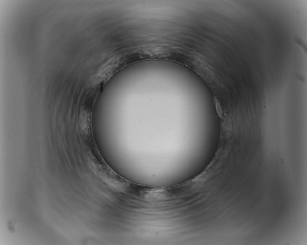 X0000101700132200807101546