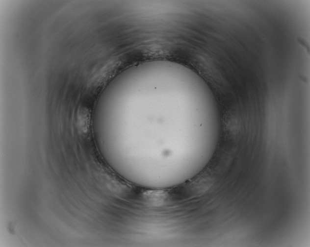 X0000101700133200807101546