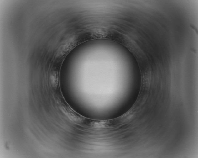 X0000101700134200807101546