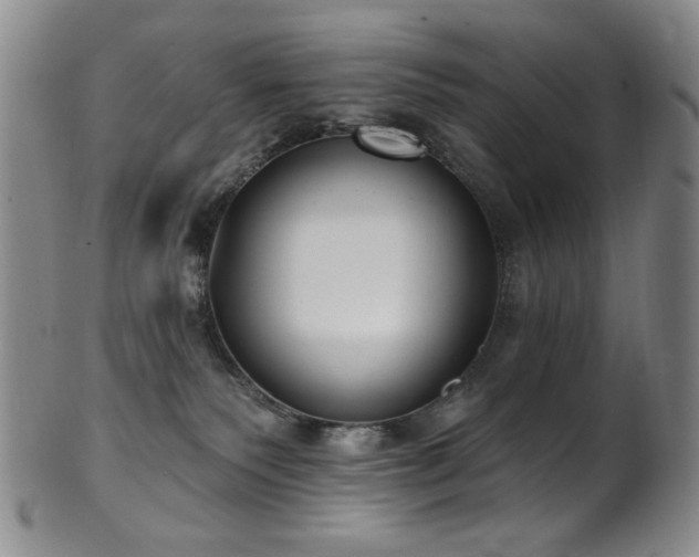 X0000101700135200807101546