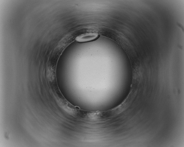 X0000101700136200807101546