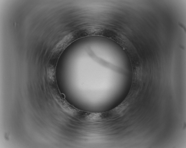 X0000101700138200807101546