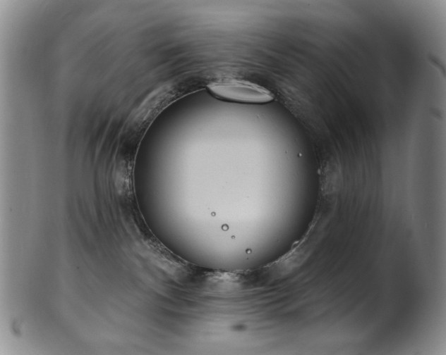 X0000101700140200807101546