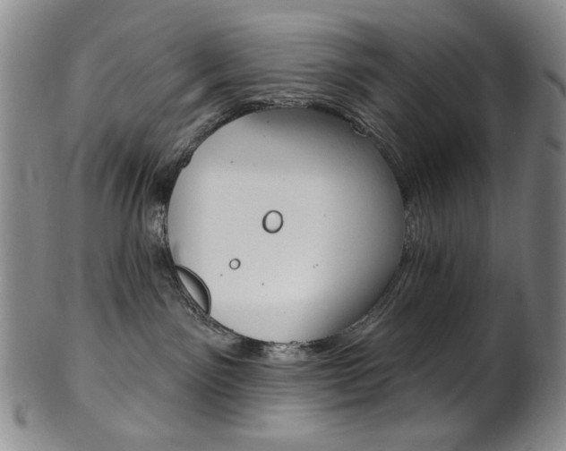 X0000101700141200807101546