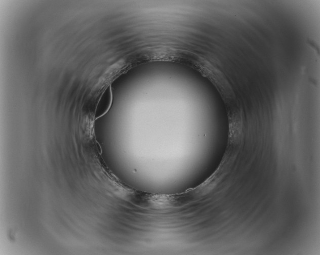 X0000101700142200807101546