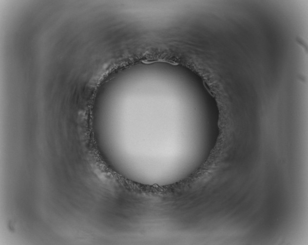 X0000101700144200807101546