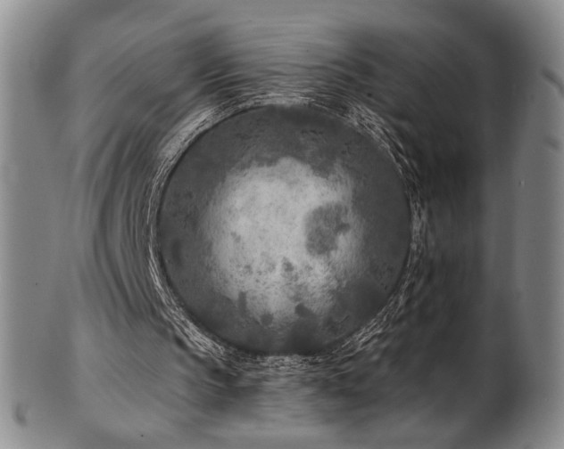 X0000101700145200807101545