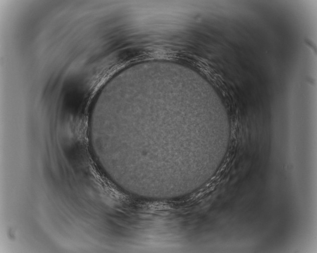 X0000101700146200807101545