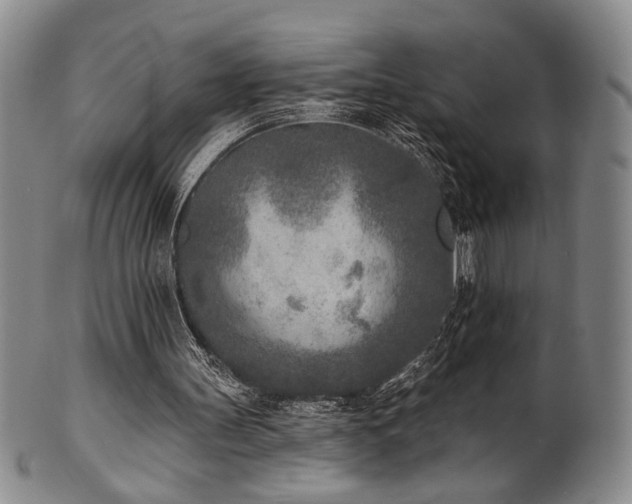 X0000101700147200807101545