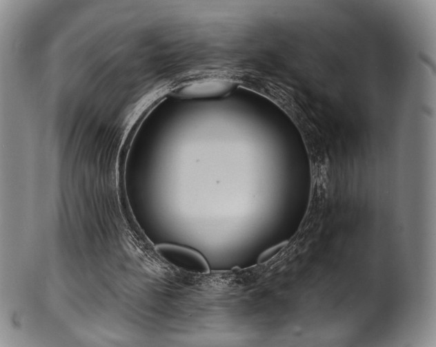 X0000101700148200807101545