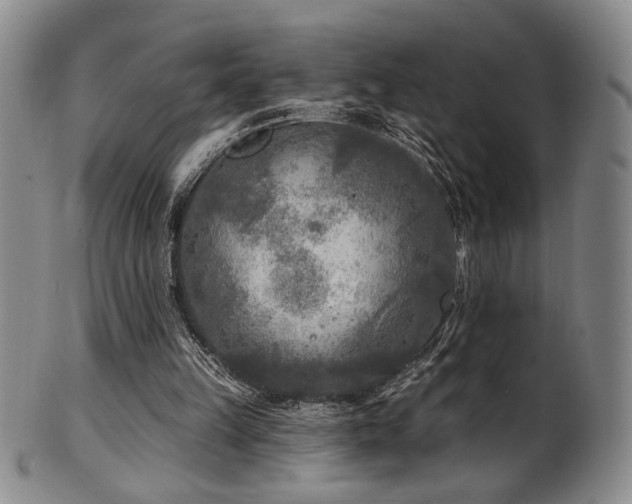 X0000101700149200807101545