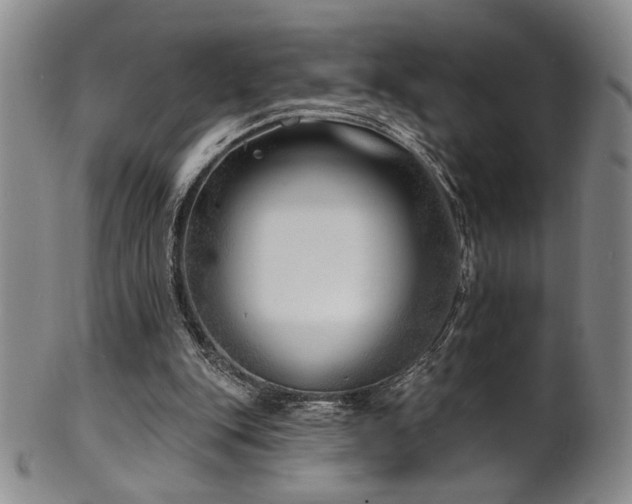 X0000101700151200807101545