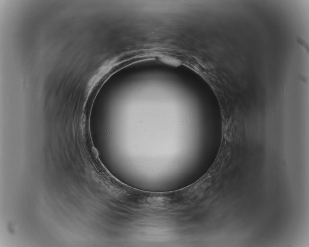 X0000101700152200807101545