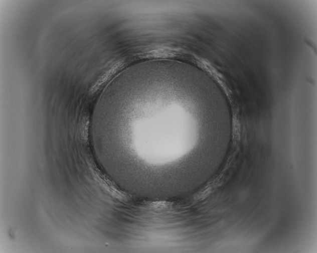 X0000101700153200807101545