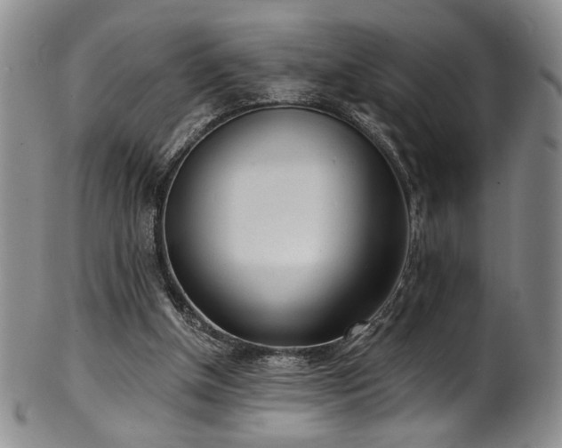 X0000101700154200807101545