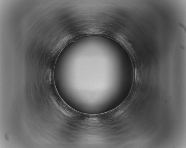 X0000101700157200807101545