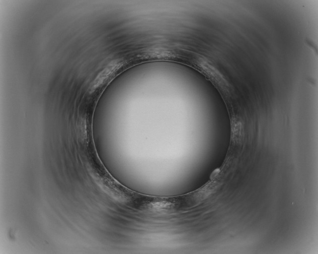 X0000101700158200807101545