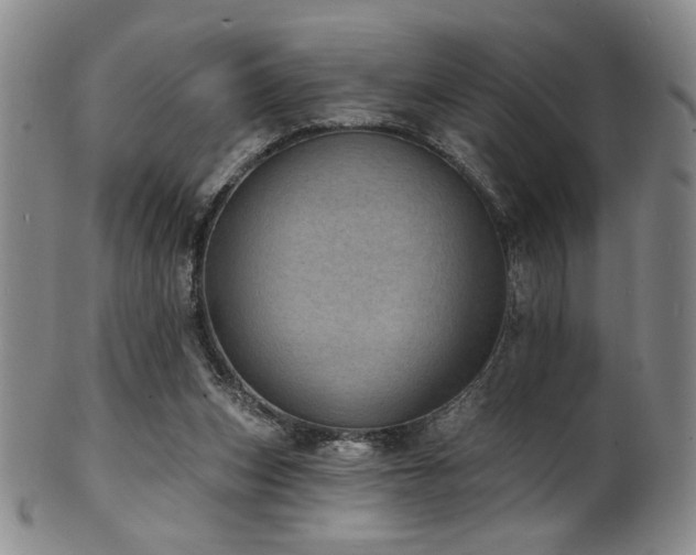 X0000101700159200807101545