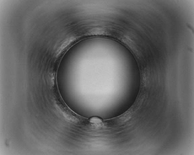 X0000101700160200807101545
